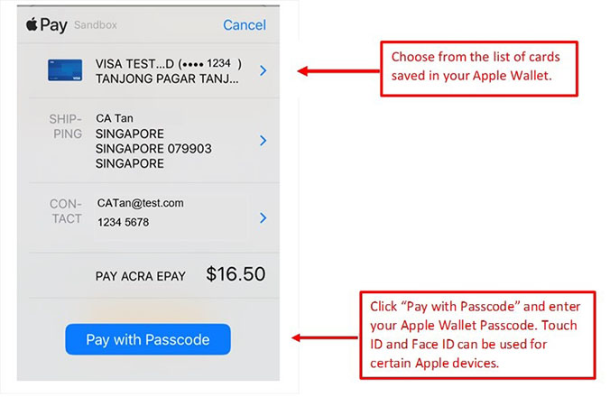Payment with Apple pay