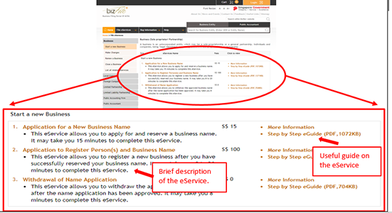 BizFile eguide