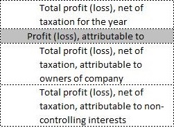 Income Statement