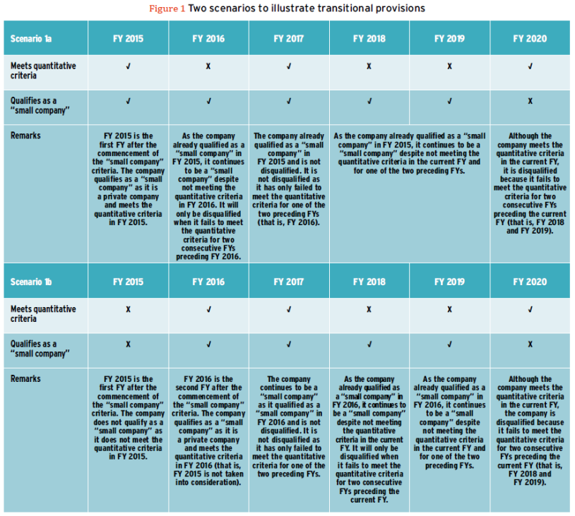 Figure 1 - small company concept for audit exemption